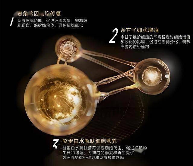 xm外汇是正规平台吗北工大首师大发布招生新政 人工智慧成今年招生看点
